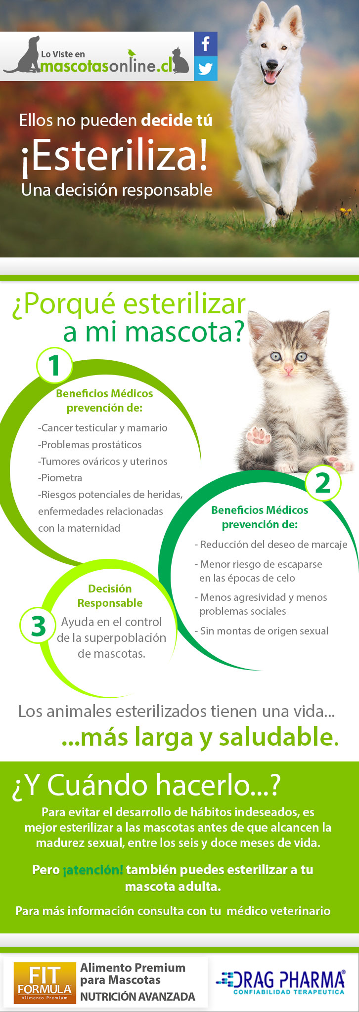 Infografía Esterilización MascotasOnline
